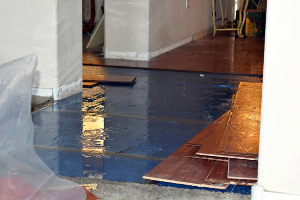 Professional Burst Pipe Cleanup technician working in Vidal, CA